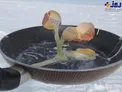 تصویری جالب از پختن تخم مرغ در قطب جنوب