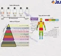 چگونه به خودمان عطر بزنیم که بیشتر جلوه کند؟
