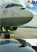 تصادف هواپیمای A320 لوفتانزا با کرکس!