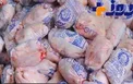 قیمت مرغ کاهش یافت
