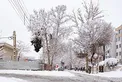 اخطاریه هواشناسی در پی سامانه بارشی جدید به کشور/ کولاک و برف در دنا