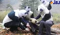 انسان هایی که پاندا می شوند+ عکس