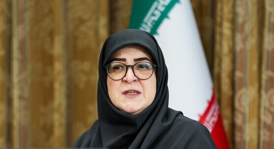 مهاجرانی: دولت به دنبال کاهش فشار ناترازی انرژی بر واحدهای تولیدی است