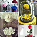 گل های رز ابدی با قیمت 18 میلیون و 800 تومن/عگس