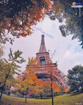 چهره پاییزی برج ایفل/عکس
