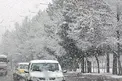 هواشناسی: بارش برف و باران و کاهش دما/ لزوم خودداری از سفرهای غیرضروری