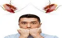 ترس از سوسک به چه علت بروز می‌کند؟