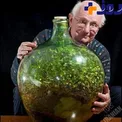 گلخانه ی مینیاتوری در بطری دربسته