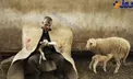 عکس روز نشنال جئوگرافیک/شیر دادن دامدار به بره ای که مادرش مرده است