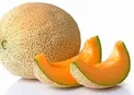 خواصی که شما را مشتاق به خوردن ملون میکند