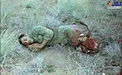 خواب آرام یک شهید+عکس