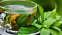 این گیاه سلامت شما را تضمین می‌کند
