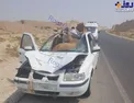 تصادف عجیب سمند و شتر! +عکس
