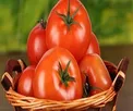 آشنایی با خواصی از گوجه فرنگی که نمی دانستید