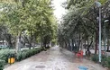 هواشناسی از کاهش دمای 5 درجه ای و ورود سامانه جدید بارشی خبر داد