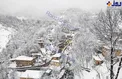 عکس/ طبیعت رویایی ماسوله در برف