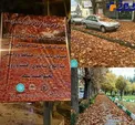 بنر خیلی جالب در ایلام +عکس