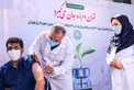 زاکانی در حال تزریق واکسن به تهرانی ها+عکس