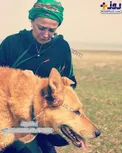 خانم بازیگر و سگ گرگی وحشی که در آغوش دارد+عکس