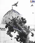 عکس/ امامزاده صالح در دهه چهل