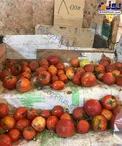 گوجه گندیده کیلویی ۸ هزار تومان! + عکس