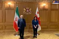 دیدار ظریف با رئیس‌جمهور گرجستان/عکس