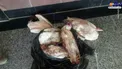 کشف پرنده های غاز قاچاق+عکس