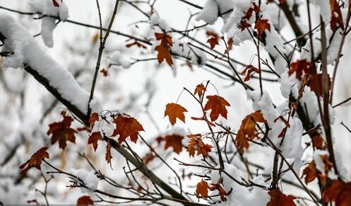 باران و برف در کمین تهران/هشدار کاهش ۵ درجه‌ای دما و احتمال یخبندان