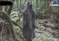 این مکان وحشتناک جنگل خودکشی است+عکس