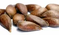 هشدار/ مراقب سیانور میان این میوه باشید!