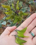 گیاهی عجیب به شکل مرغ مگس خوار/عکس