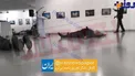 فوري/ سفير روسيه در تركيه ترور شد +عكس