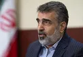 تکذیب دیدار شهید فخری‌زاده با بازرسان آژانس