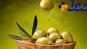 هشدار/ روغن هایی که خطر ناباروری به همراه دارند!