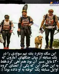 سگی که یک گروه کوهنوردی را برای کوفته همراهی کرد!+عکس