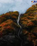 عکس/ قابی زیبا از دره درفک در گیلان