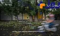 هشدار/ باد و گردوخاک برای تهران و ۵ استان کشور