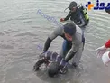 غرق شدن يك جوان ١٧ ساله هنگام شنا +عكس