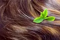 8 روش کاربردی برای رشد سریع موها