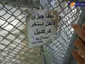 این عکس از یک باغ وحش در تایلند گرفته شده!