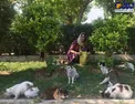 مهر و محبت پانته‌آ بهرام به گربه‌ها+عکس