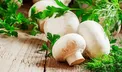 نکته های مهمی که برای نگهداری از قارچ باید بدانید