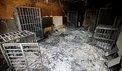زندان بزرگ داعشی ها در تلعفر کشف شد