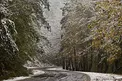 هواشناسی از ورود سامانه بارشی و کاهش محسوس دما در کشور خبر داد