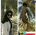 بازیگر زن ایرانی بالای درخت + عکس