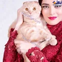 ژست خاص بهنوش طباطبایی گربه به بغل! + عکس