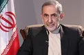 ولایتی: مردم ترکیه در خصوص مسجد ایاصوفیه، مدیون رئیس‌ جمهور کشورشان هستند