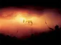 اعمالی که در دهه اول محرم باید انجام شود