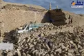 تصویری دلخراش از زلزله كوهبنان كرمان