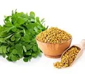 خواص شگفت انگیز شنبلیله و تخم شنبلیله که نمی دانستید